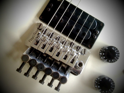 kramer_floydrose